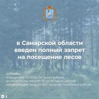 в Самарской области введен полный запрет на посещение лесов